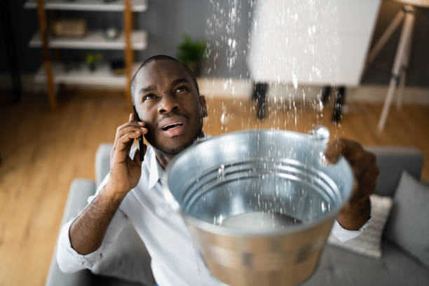 Best Basement water damage restoration  in Burgin, KY