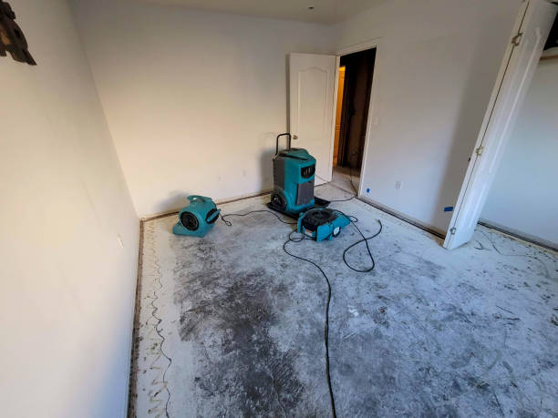 Best Water damage restoration process  in Burgin, KY