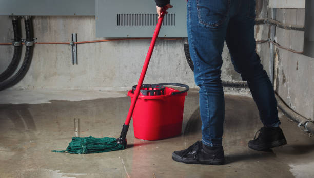 Best Flood damage cleanup  in Burgin, KY