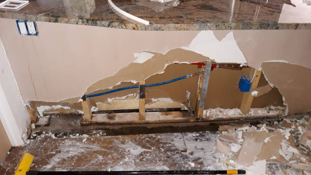 Best Carpet water damage restoration  in Burgin, KY