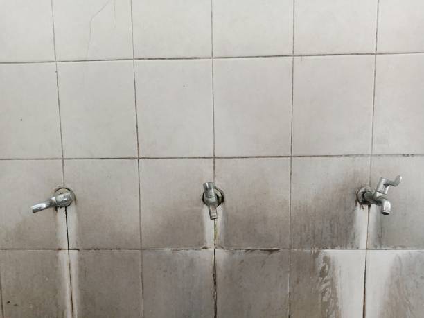 Best Flood restoration services  in Burgin, KY