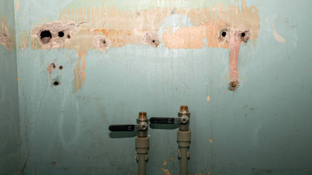 Best Water damage restoration cost  in Burgin, KY