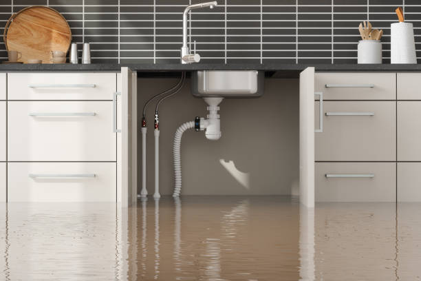  Burgin, KY Water damage restoration Pros