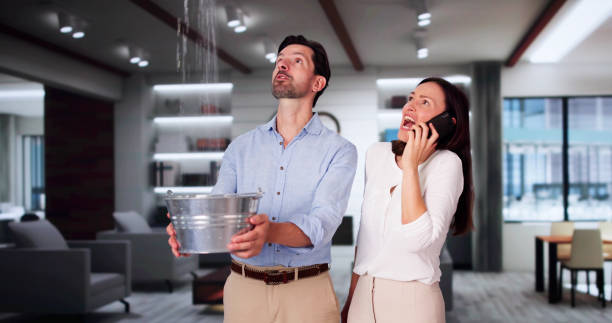 Best Water damage restoration process  in Burgin, KY