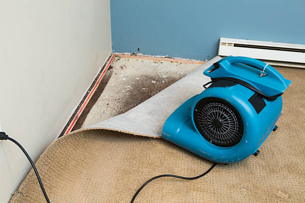 Best Residential water damage restoration  in Burgin, KY
